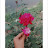 @AfsanaAkter-z2g Avatar