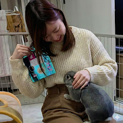 Ayaka🇯🇵 - Restarting from Zero