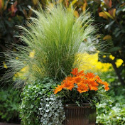 Trendy garden