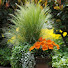 QtBERxBAamQ-channel-avatar-Trendy garden 