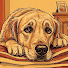 RZYhPPXvVwU-channel-avatar-Anima del Cane