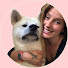 tDXBJjxJov8-channel-avatar-The five Akitas