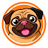 sQnRCUDuALo-channel-avatar-El Pug Stalker