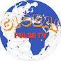 Global Pulse TV logo
