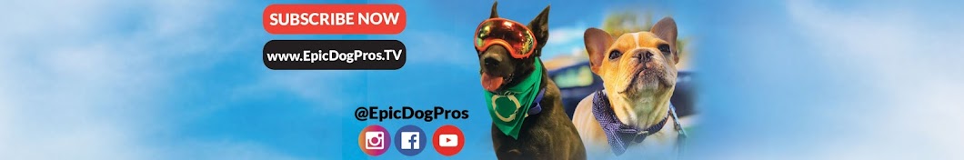 EPIC DOG PROS यूट्यूब चैनल अवतार