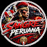o1pV5uIgyWI-channel-avatar-SANGRE PERUANA
