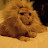 @edhirxtrastrange Avatar