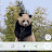 @털털털-n96