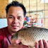 3zVlZeAVecg-channel-avatar-Efic fish cuts