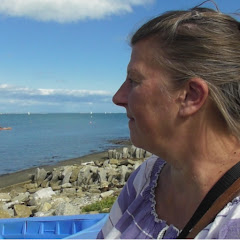 What Vivi did next net worth