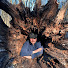 f--UX2cS6jE-channel-avatar-Wild Bush Drive and WILD BUSH DRIVE RAW