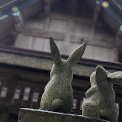 だだ日記