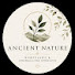 ax7XL9lY4Js-channel-avatar-Anthony 