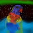 b1B5BXnw8aw-channel-avatar-Anpelra The Star Sailing Rainbow Lorikeet