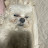 @오만둥이-p5z