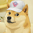 3y17ddCRE4Q-channel-avatar-Shibe Subs [VSPO! Clips]