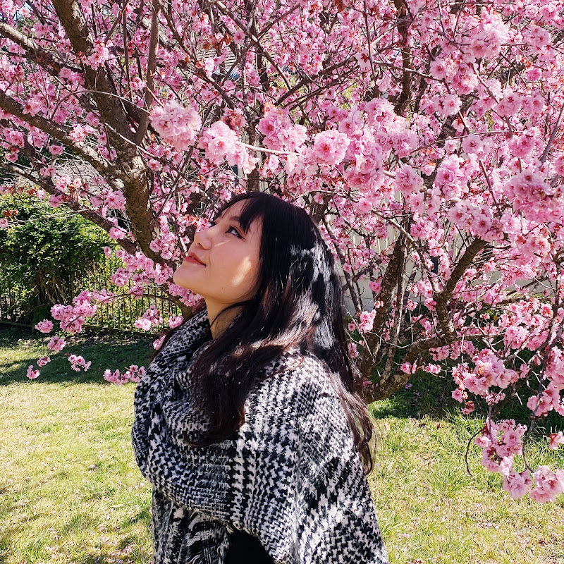 Jen Hoang