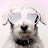 @Jdogg217 Avatar