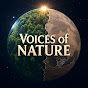 KaMi - Voices of Nature logo