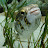 @UncertainGetaways's avatar