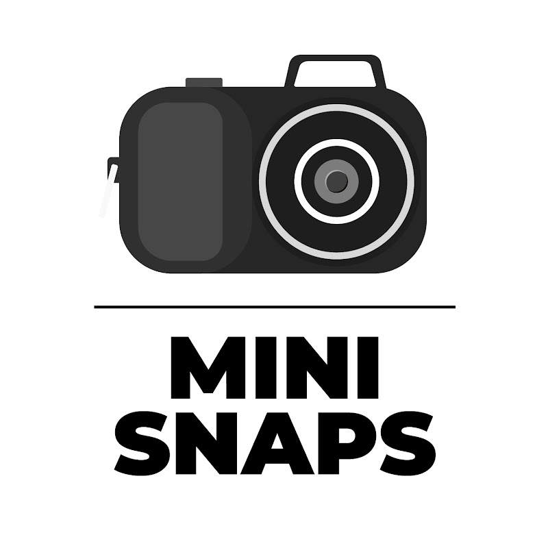 Mini Snaps