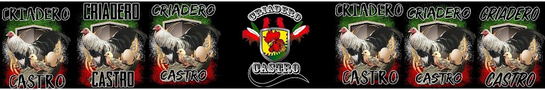 Criadero Castro De Gallos Kikirikis/habaneros YouTube kanalı avatarı