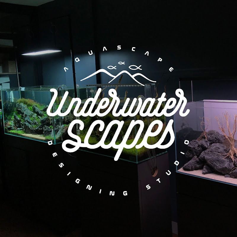 Underwaterscapes
