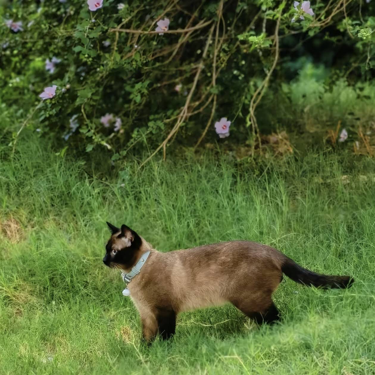 Post from Catherine Ren