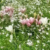 なんとか生きてる女