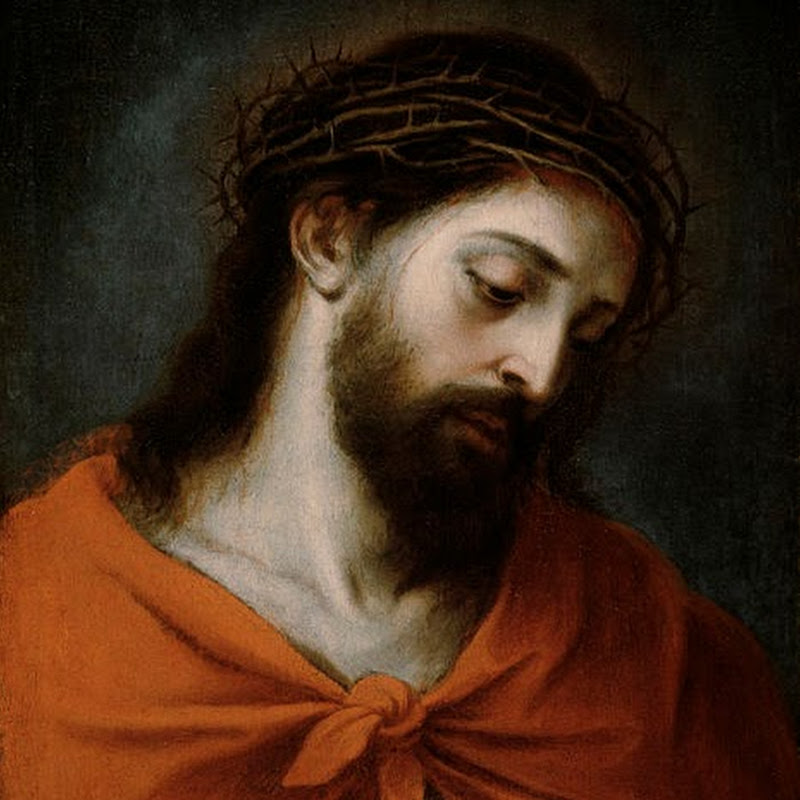 EL ÁRBOL DE LA VIDA