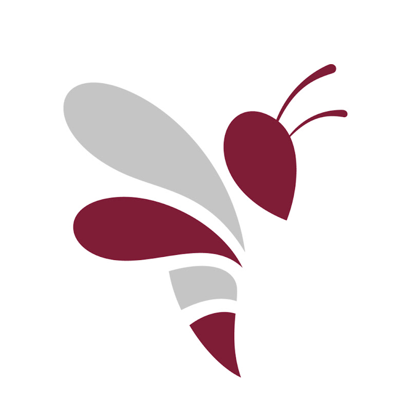 WILDBEE TV