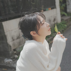 예찬하다