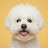 @dog88Playground