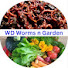 0JXkXQDRrM8-channel-avatar-WD Worms n Garden