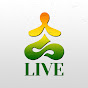 Live Holistic Healing logo
