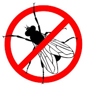 Fly TV