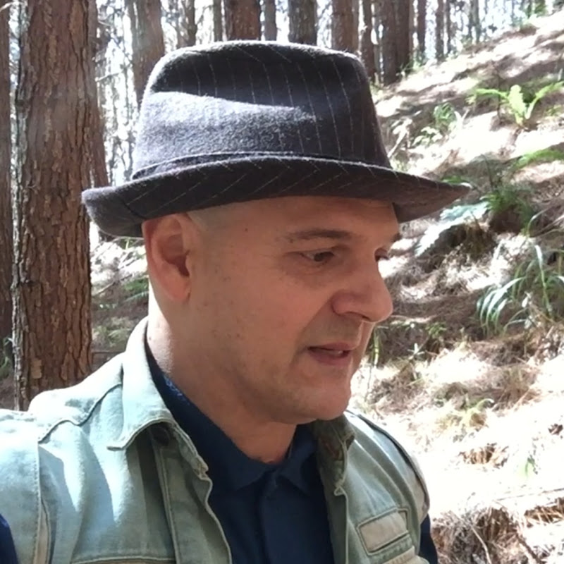 PIASSON ARTE icon