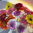 RcxUFM-ycBw-channel-avatar- " Especialmente para você "