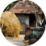 FKCicZz72mY-channel-avatar-Chuyện Quê Nghèo