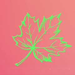 Maple Leaf Translations net worth