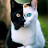 @AlaaElhaj-o8t