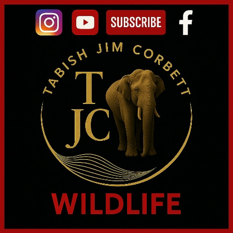 Tabish Jim Corbett