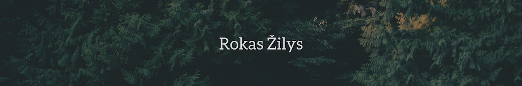 Rokas Å½ilys YouTube channel avatar