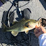zrNB5K4cKaI-channel-avatar-Aw fishing