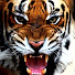 jK3h-vRHkIQ-channel-avatar-At Adventures