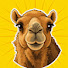 GLT2KIeRcpk-channel-avatar- QuestionableCamel
