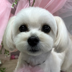 るかちゅーぶアイコン画像