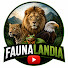 NAuJ_3ssQrM-channel-avatar-FAUNALANDIA