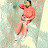 @MohamedRouzouna
