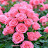 @ITHANDEHUI3230